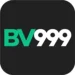 BV999-GAME
