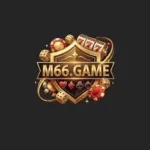 M66 GAME