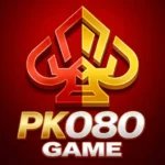 pk080 game logo