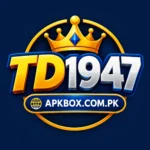 TD1947 GAME